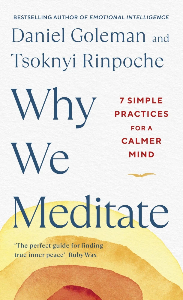 Why We Meditate – Daniël Goleman – boek cover