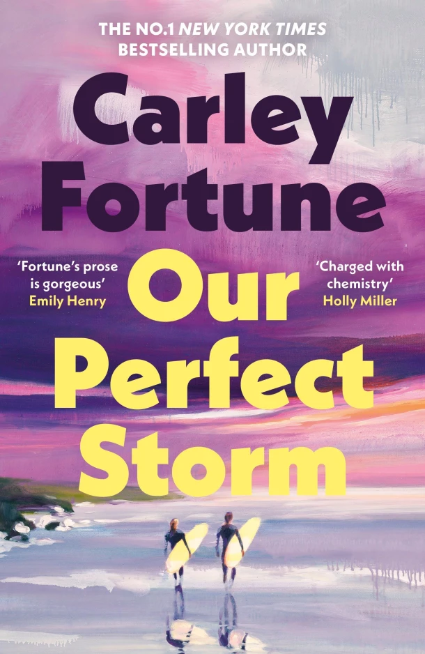 Our Perfect Storm – Carley Fortune – boek cover