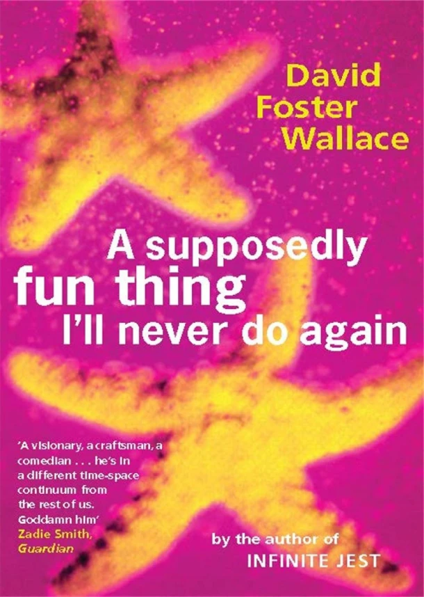 A Supposedly Fun Thing I'll Never Do Again – David Foster Wallace – boek cover