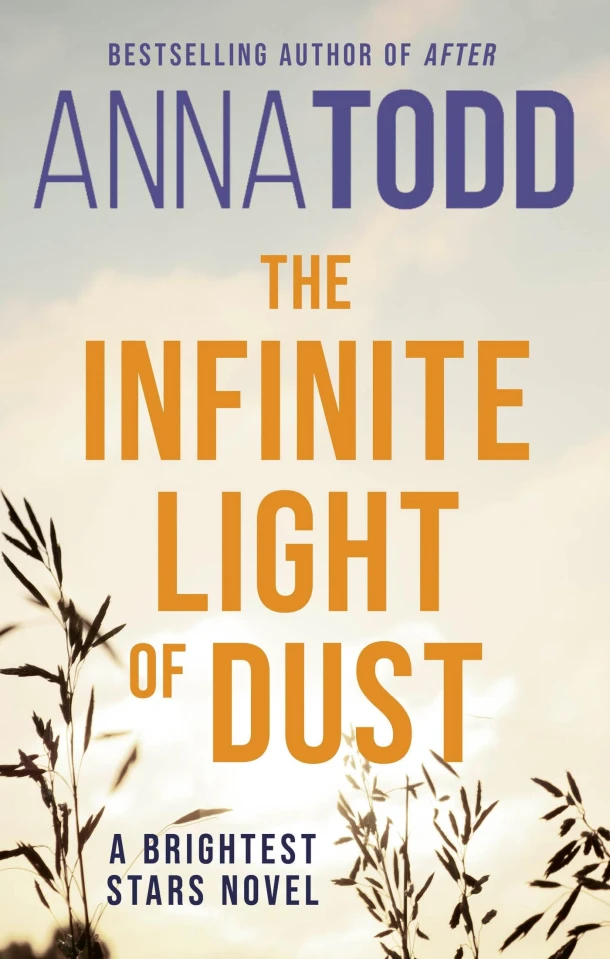 The Infinite Light of Dust – boek cover