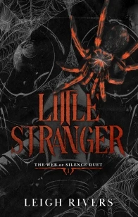 Little Stranger – Leigh Rivers – boek cover
