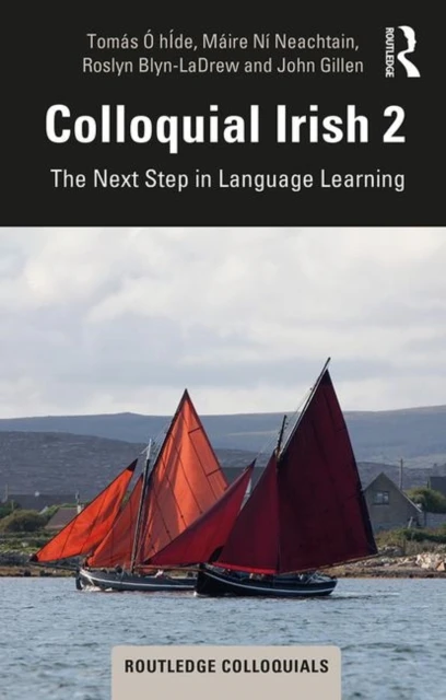 Colloquial Irish 2 – O hIde, Tomas – boek cover