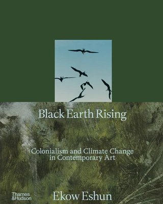Black Earth Rising – Ekow Eshun – boek cover
