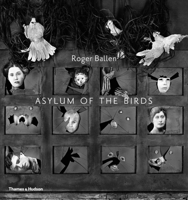Asylum of the Birds – boek cover