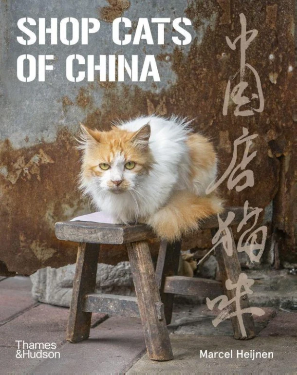Shop Cats of China – Marcel Heijnen – boek cover