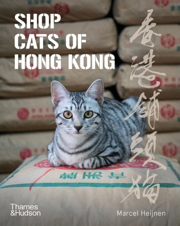 Shop Cats of Hong Kong – Marcel Heijnen – boek cover