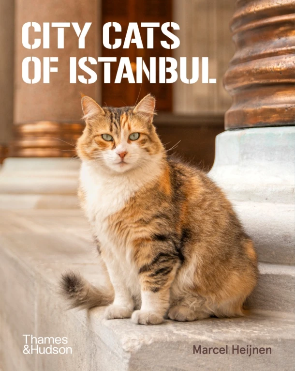 City Cats of Istanbul – Marcel Heijnen – boek cover