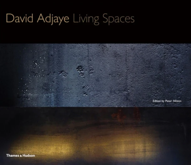 David Adjaye – Peter Allison – boek cover
