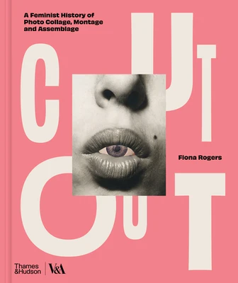 Cut Out – Fiona Rogers – boek cover