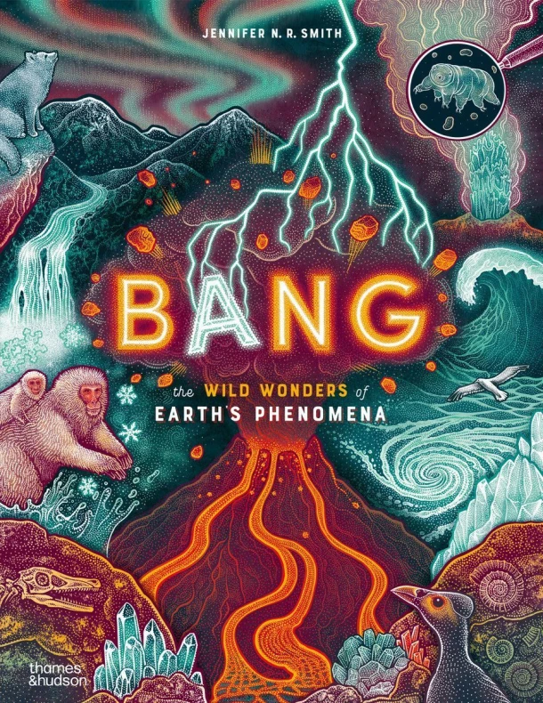 Bang – Jennifer N. R. Smith – boek cover