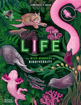 Life – Jennifer N. R. Smith – boek cover