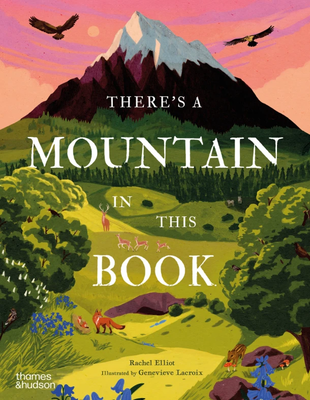 There's a Mountain in This Book – Rachel Elliot – boek cover