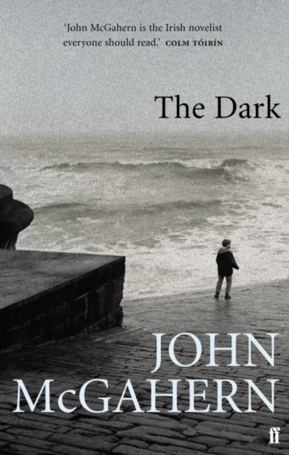 The Dark – boek cover