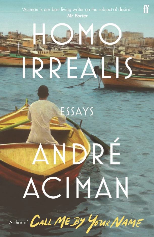 Homo Irrealis – boek cover
