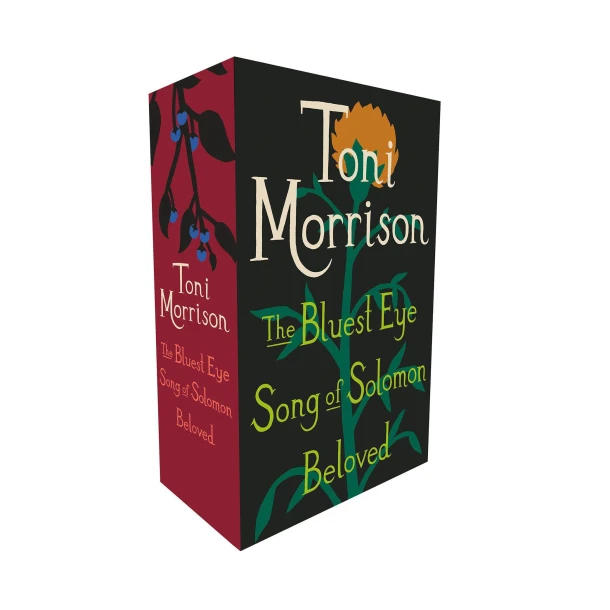 Toni Morrison Box Set: The Bluest Eye, Song of Solomon, Beloved – Toni Morrison – boek cover