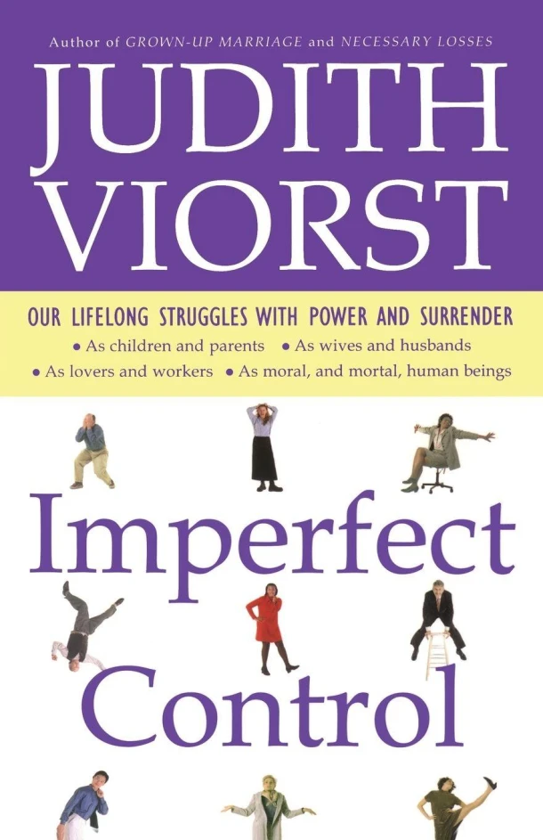 Imperfect Control – boek cover