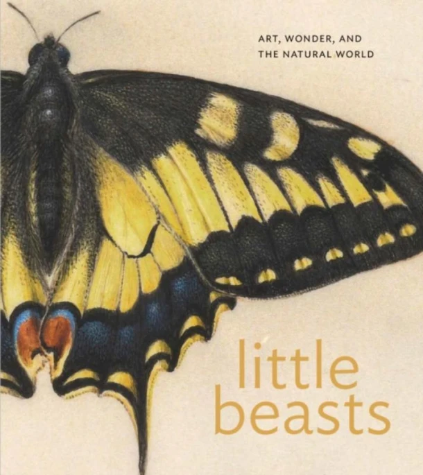 Little Beasts – Alexandra Libby – boek cover