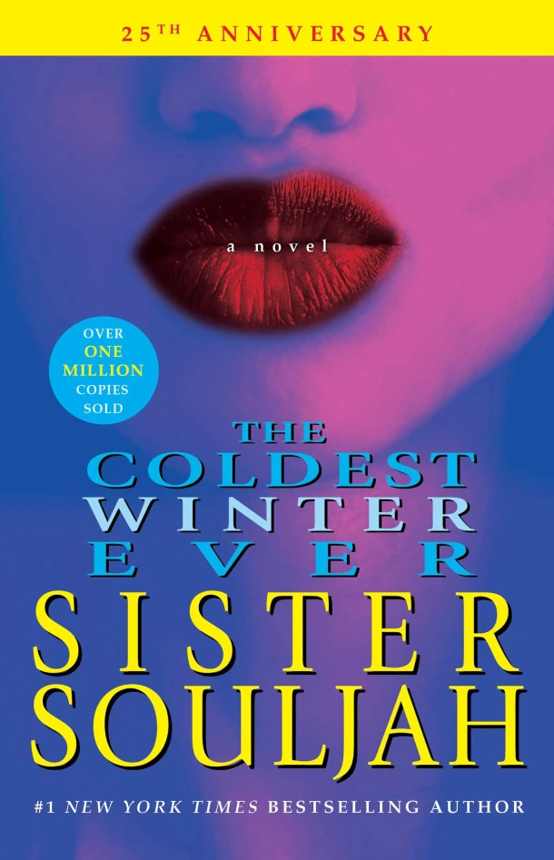 The Coldest Winter Ever – Sister Souljah – boek cover