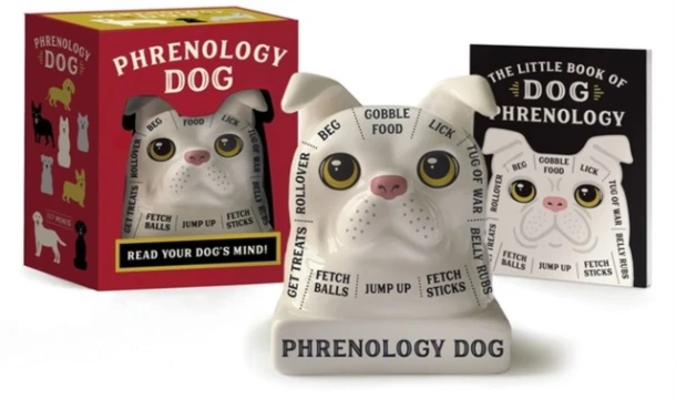 Phrenology Dog – Brenna Dinon – boek cover