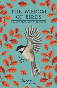 The Wisdom of Birds – Raxenne Maniquiz – boek cover