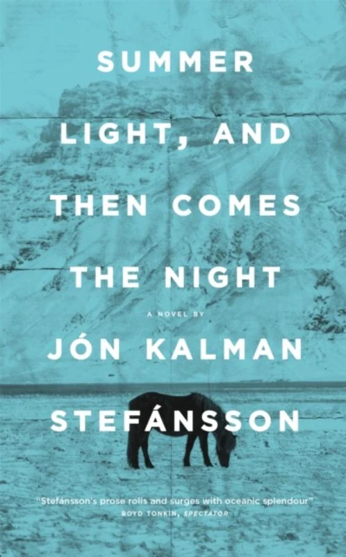 Summer Light, and Then Comes the Night – boek cover