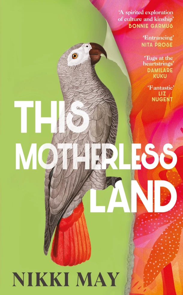 This Motherless Land – boek cover
