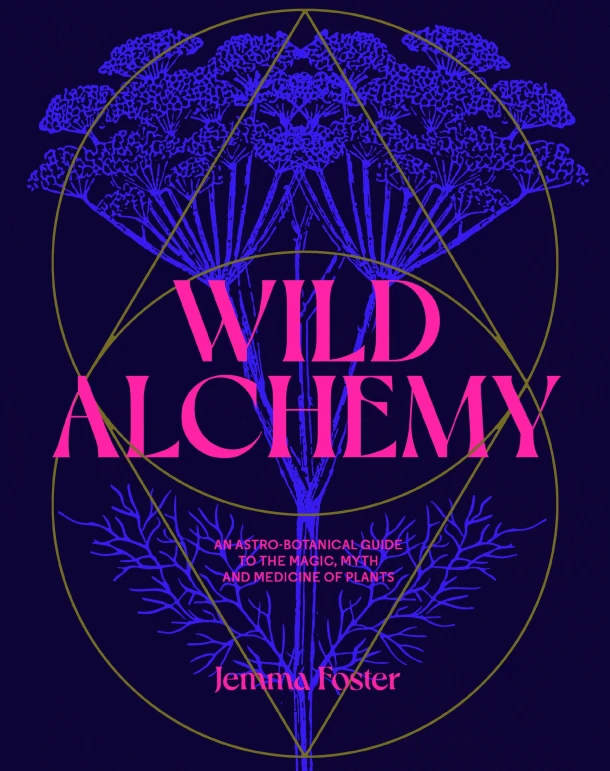 Foster, J: Wild Alchemy – boek cover