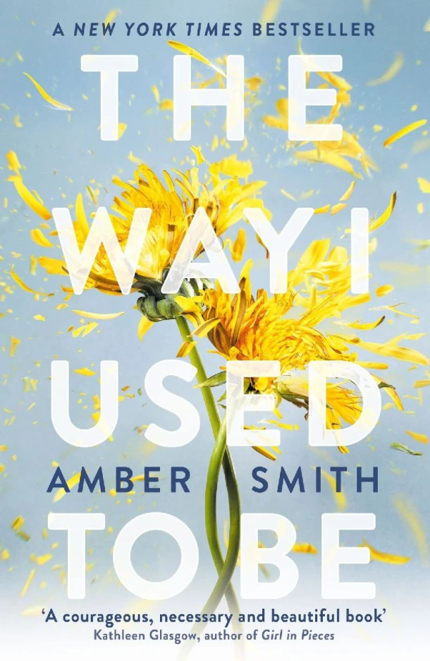 The Way I Used to Be – Amber Smith – boek cover