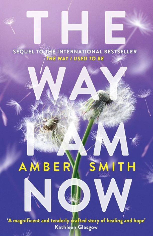 The Way I Am Now – Amber Smith – boek cover
