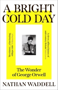 A Bright Cold Day – Nathan Waddell – boek cover