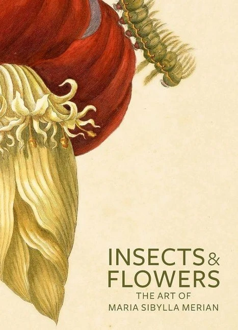 Insects and Flowers ¿ The Art of Maria Sibylla Merian – . Brafman – boek cover