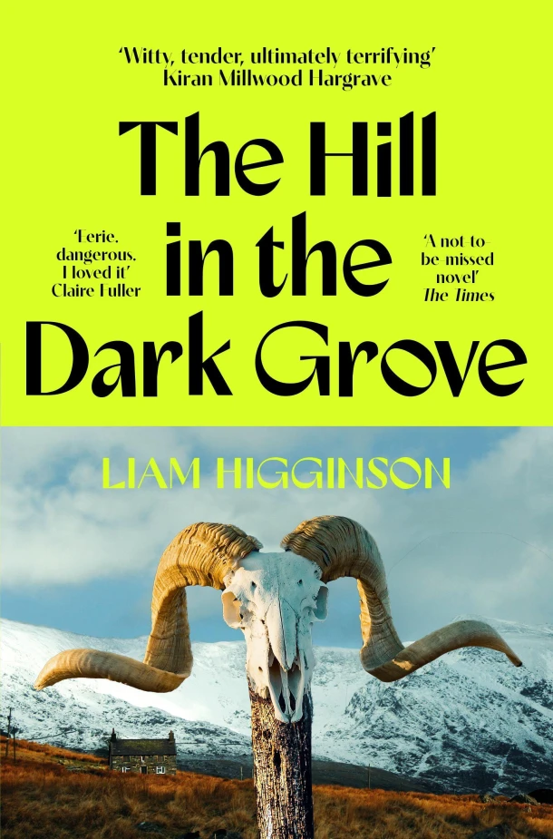 The Hill in the Dark Grove – Liam Higginson – boek cover