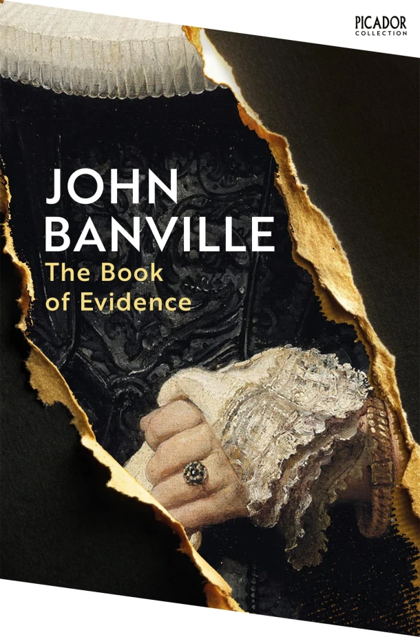 The Book of Evidence – John Banville – boek cover