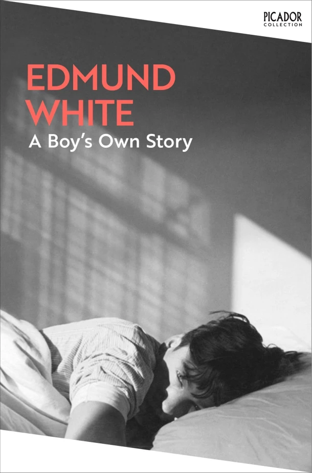 A Boy's Own Story – boek cover