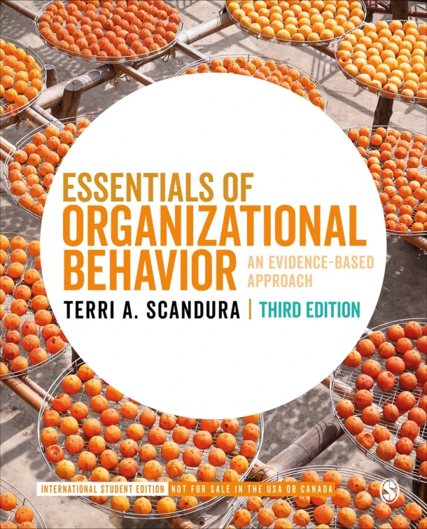 Essentials of Organizational Behavior - International Student Edition – Scandura – boek cover