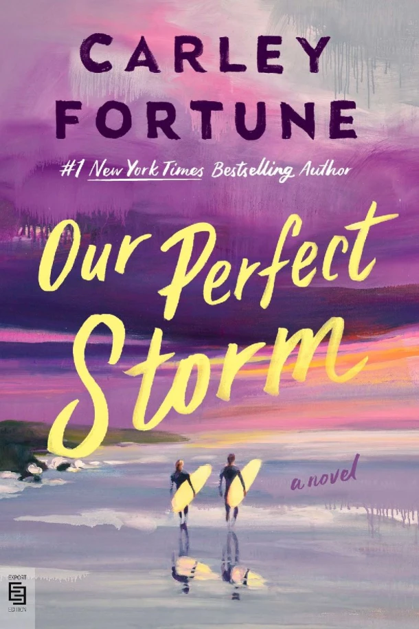 Our Perfect Storm – Carley Fortune – boek cover