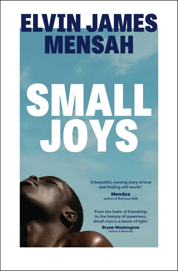 Small Joys – Elvin James Mensah – boek cover