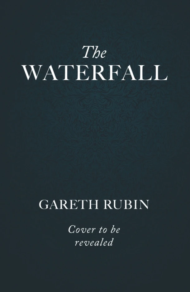 The Waterfall – Gareth Rubin – boek cover
