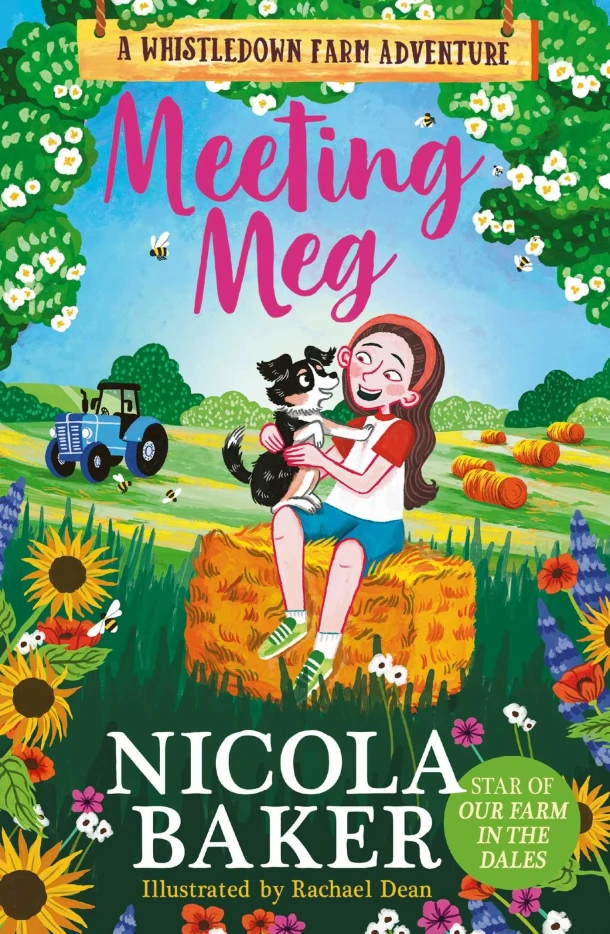 Meeting Meg – Nicola Baker – boek cover