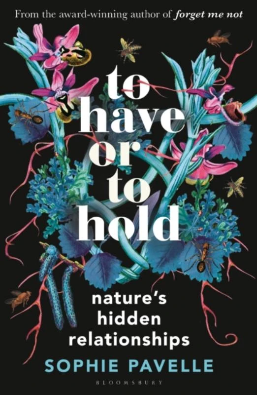 To Have or To Hold – Sophie Pavelle – boek cover