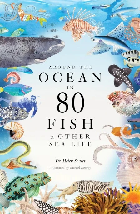 Around the Ocean in 80 Fish and other Sea Life – Scales, Helen – boek cover