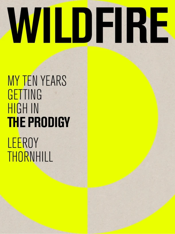 Wildfire – boek cover