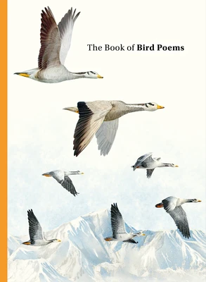 The Book of Bird Poems – Ana Sampson – boek cover