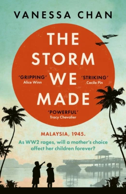 The Storm We Made – boek cover