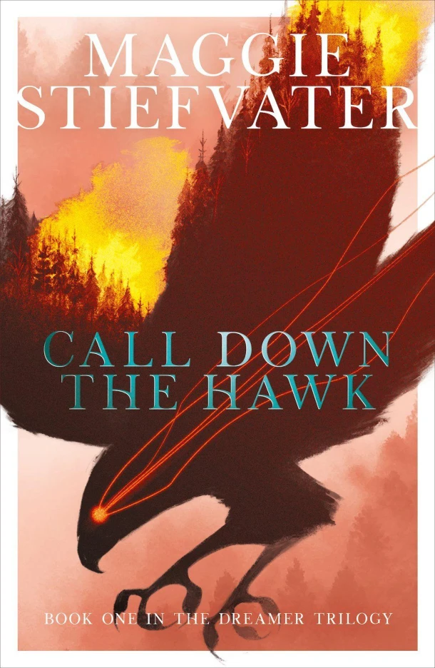 Call Down the Hawk: The Dreamer Trilogy #1 – Maggie Stiefvater – boek cover