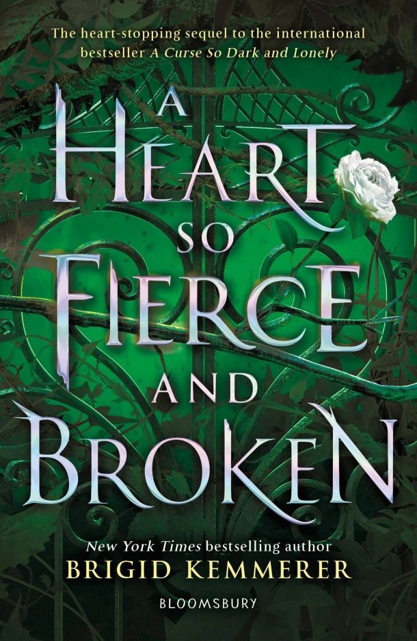 A Heart So Fierce and Broken – boek cover