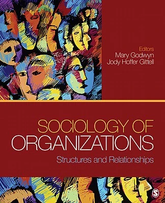Sociology of Organizations – Godwyn – boek cover