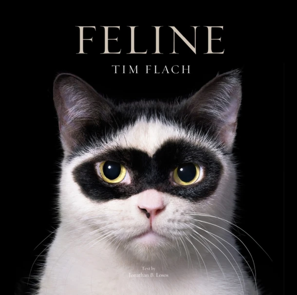 Feline – Tim Flach – boek cover