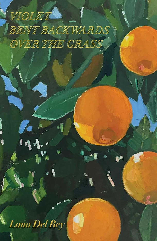Violet Bent Backwards Over the Grass – Lana Del Rey – boek cover