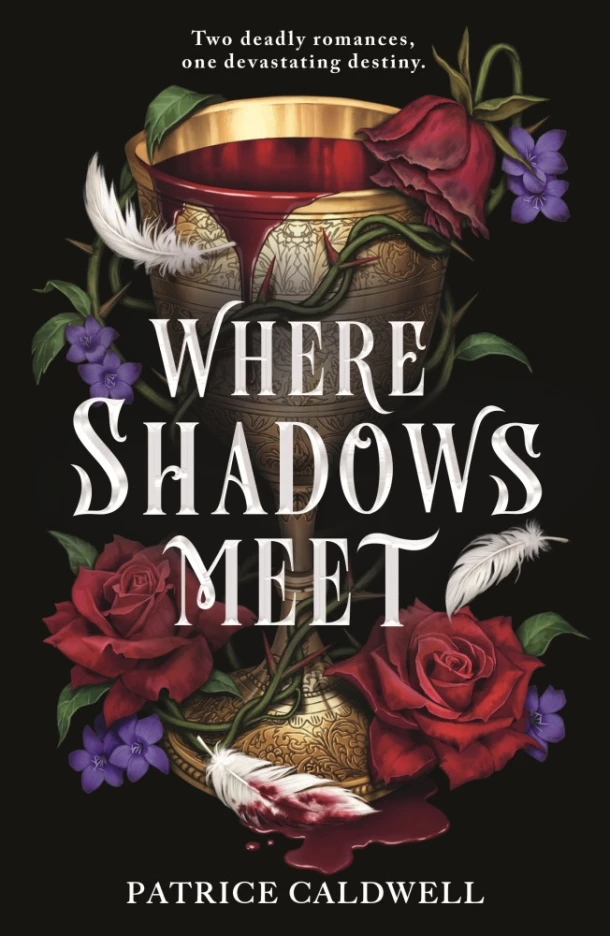 Where Shadows Meet – boek cover